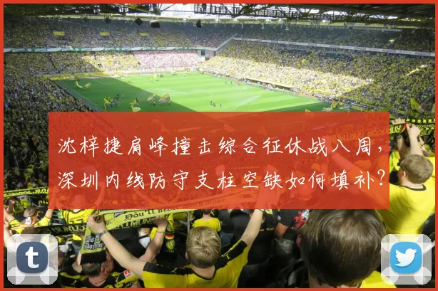 沈梓捷肩峰撞击综合征休战八周,深圳内线防守支柱空缺如何填补?